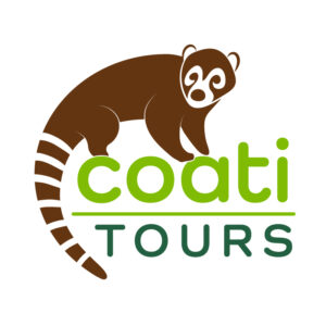 Sobre el texto coati tours está un coati café viendo hacia atrás